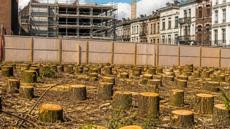 Bruxelles valide un permis à Schaerbeek pour 35 logements malgré l’avis défavorable de la commune
